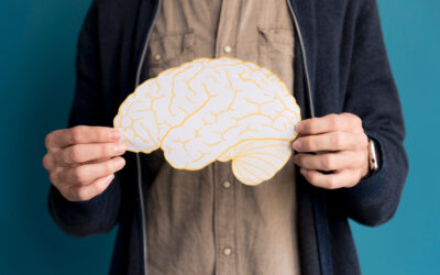 Jak działa prawa półkula mózgu?