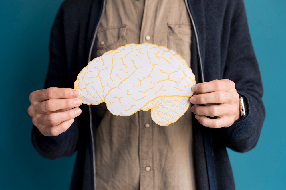 Jak działa prawa półkula mózgu?