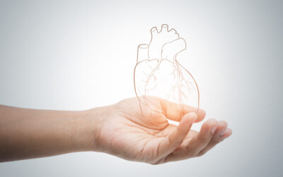 Jaki jest dobry cholesterol: HDL czy LDL?