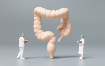 Jak błonnik pokarmowy jest trawiony w jelicie grubym?