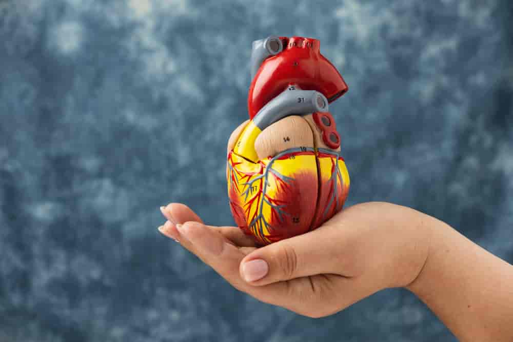 Zawał serca – skutki i konsekwencje